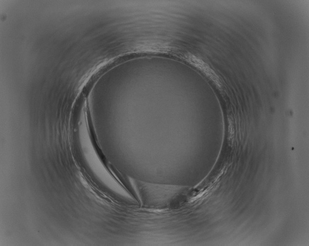 X0000077290580200611031552