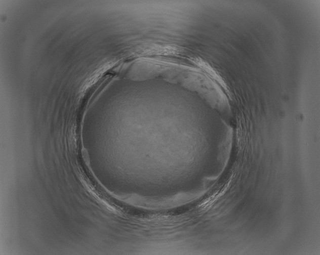 X0000077290581200611031552