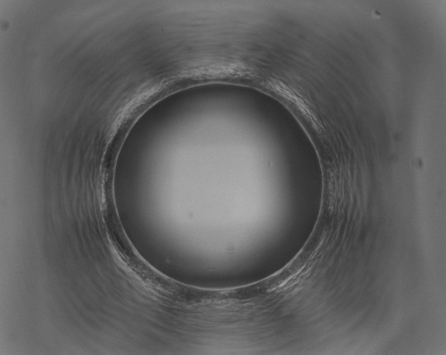 X0000077290582200611031552