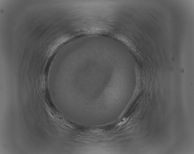 X0000077290583200611031552