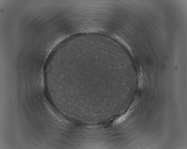 X0000077290584200611031552