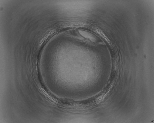 X0000077290585200611031552