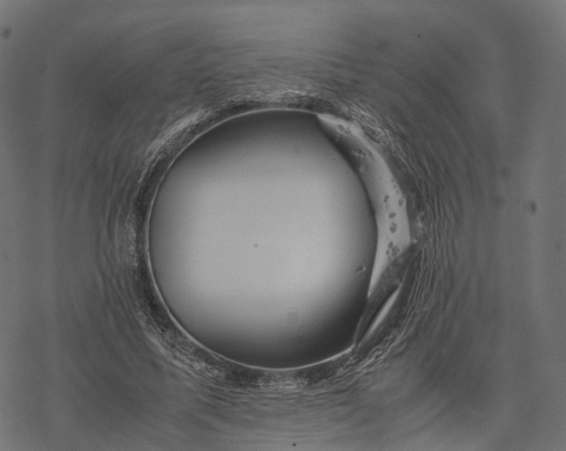 X0000077290587200611031552