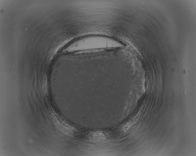 X0000077290588200611031552