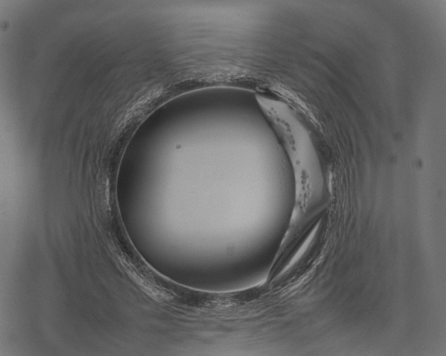 X0000077290589200611031552