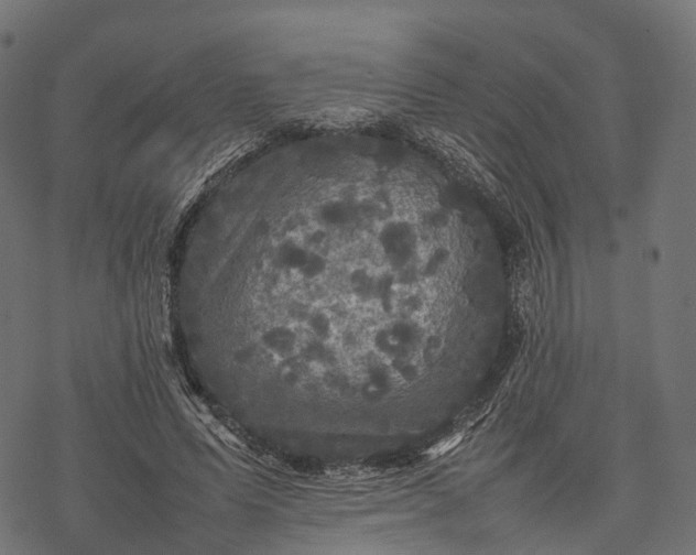 X0000077290591200611031552