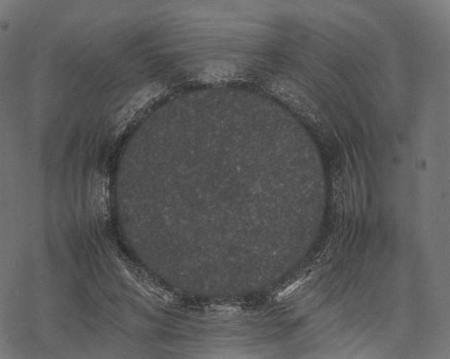 X0000077290592200611031552