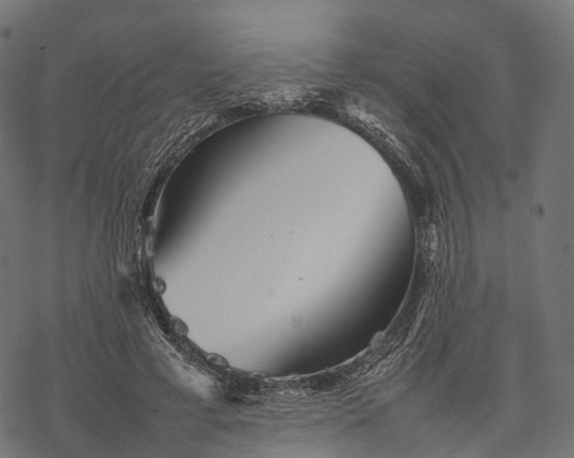 X0000077290593200611031552