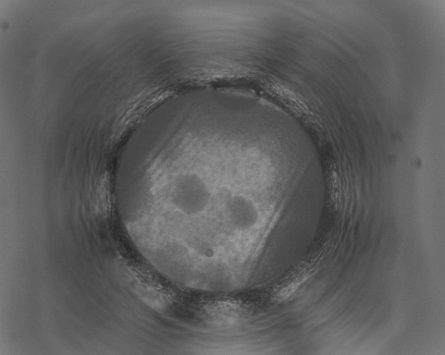 X0000077290594200611031552