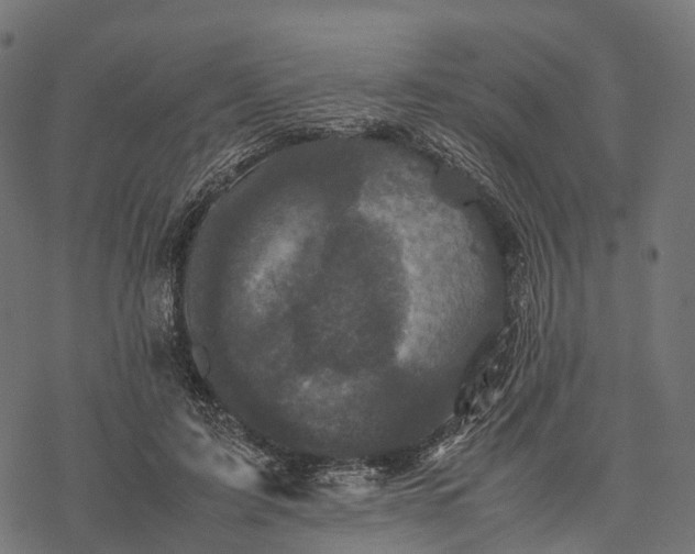 X0000077290595200611031552