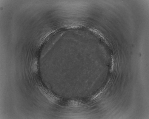 X0000077290596200611031552