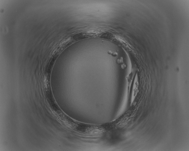 X0000077290597200611031552