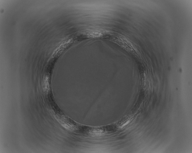 X0000077290598200611031552