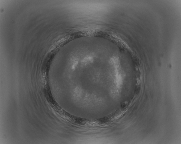 X0000077290599200611031552