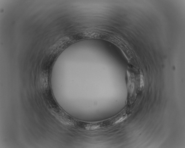 X0000077290602200611031552