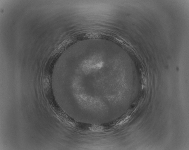 X0000077290603200611031552