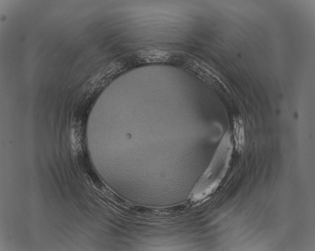 X0000077290604200611031552