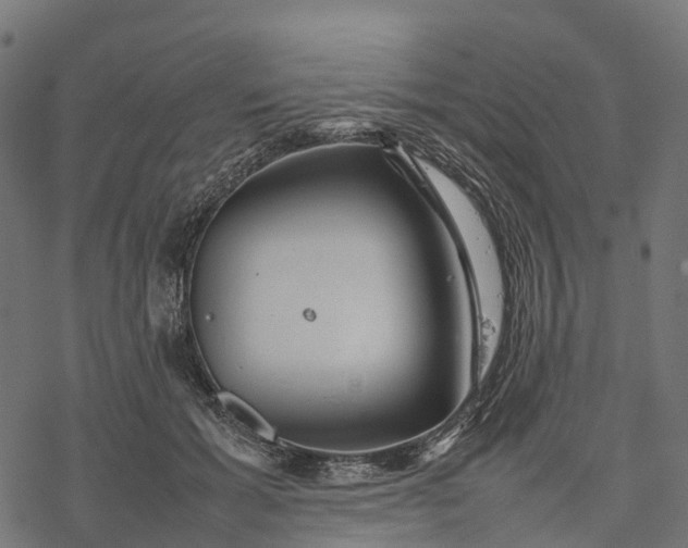 X0000077290605200611031552