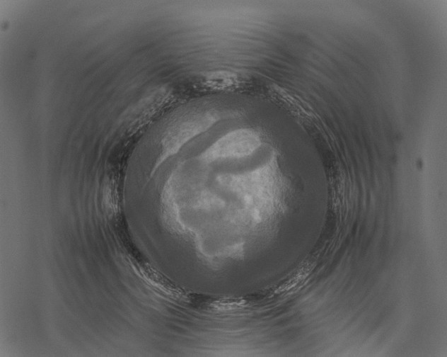 X0000077290606200611031552