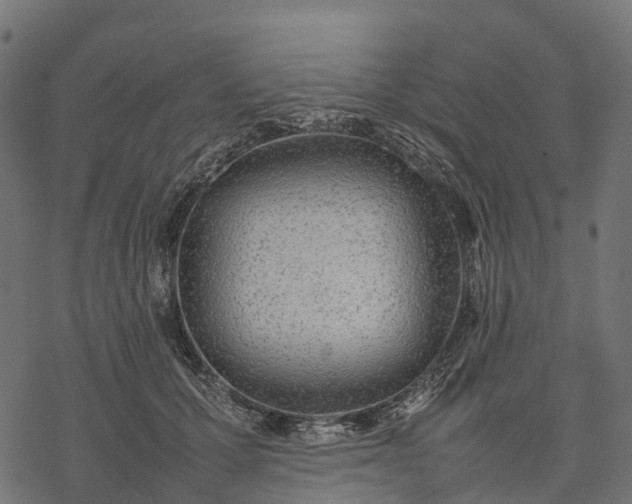 X0000077290607200611031552