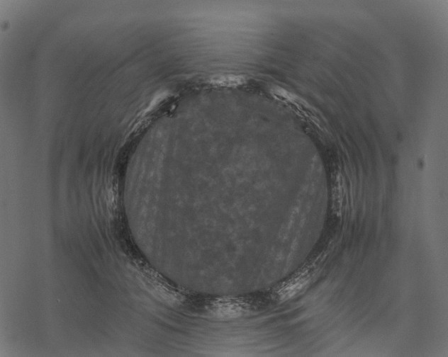 X0000077290608200611031552