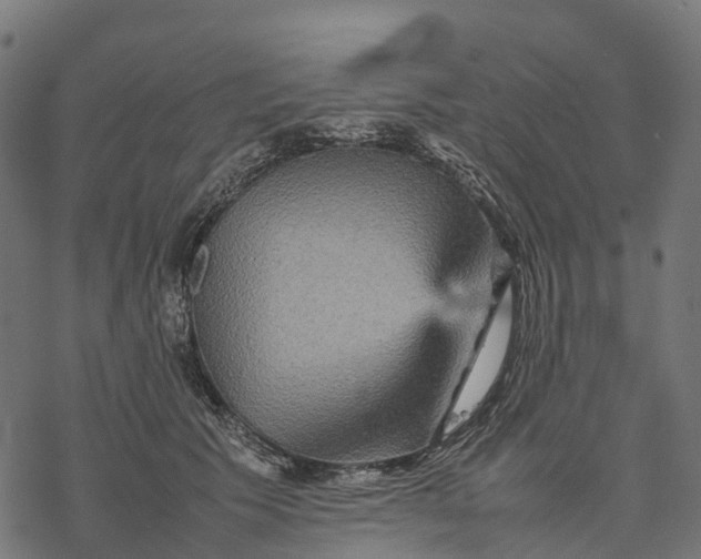 X0000077290609200611031552