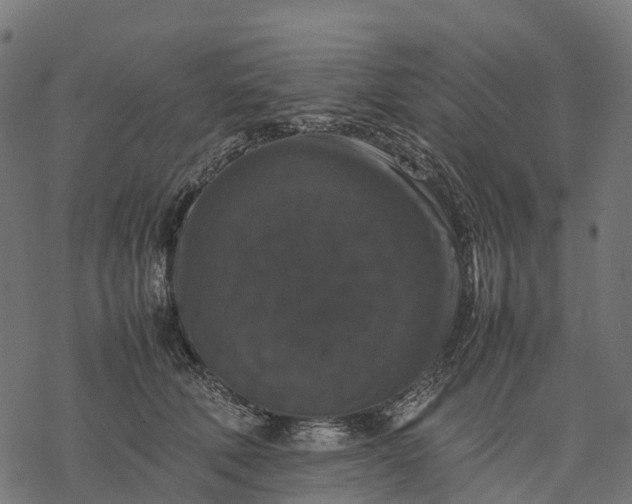 X0000077290610200611031552