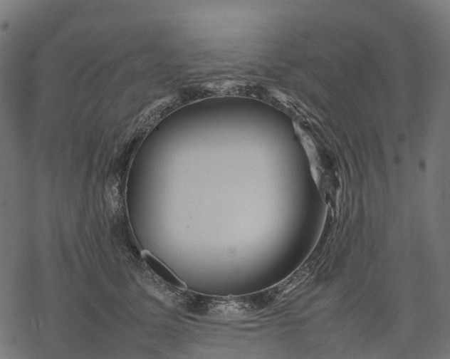 X0000077290611200611031552