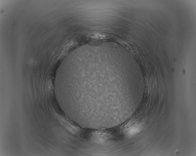 X0000077290614200611031552