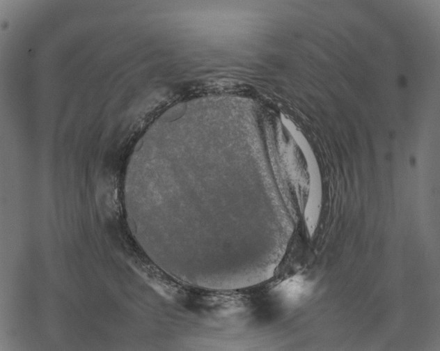 X0000077290615200611031552