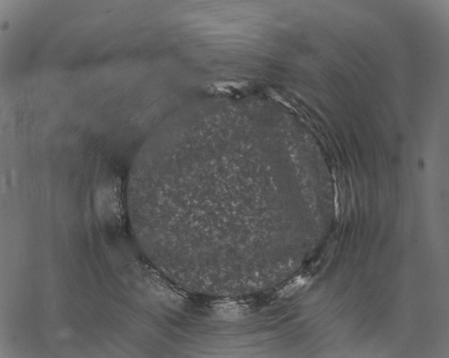 X0000077290616200611031552