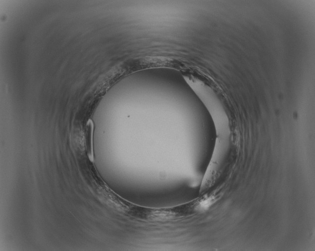 X0000077290617200611031552