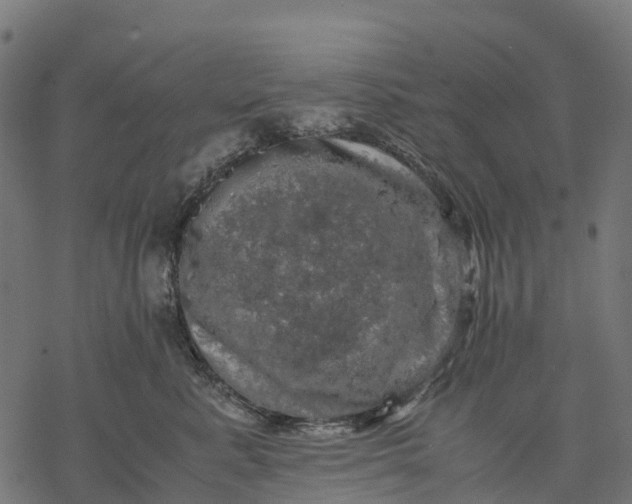 X0000077290619200611031552