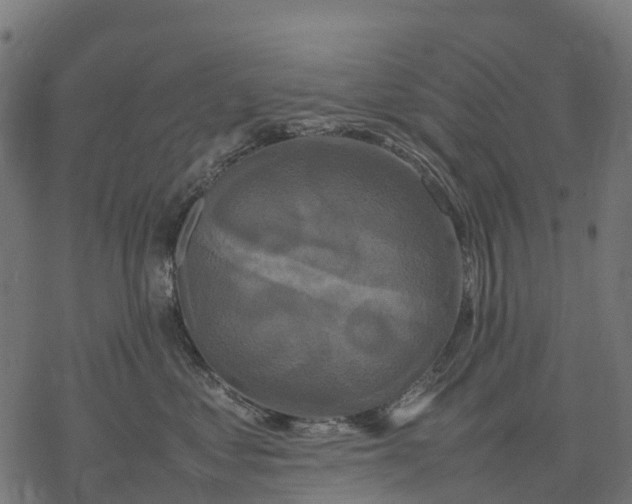 X0000077290621200611031552