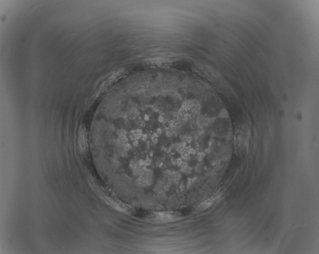 X0000077290623200611031552