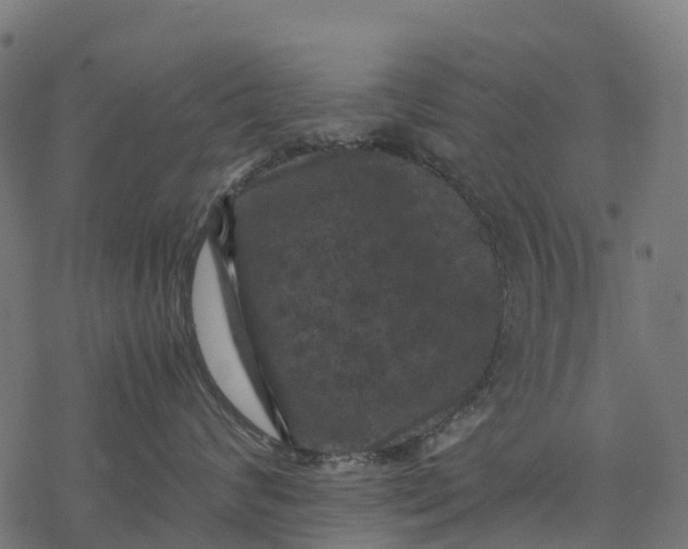 X0000077290624200611031552