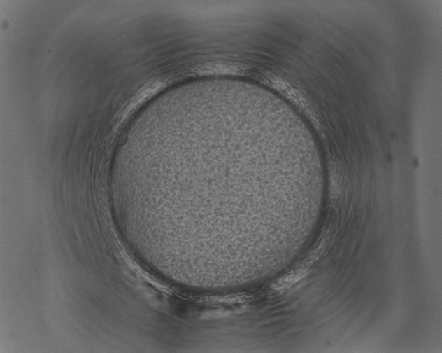 X0000077290625200611031551