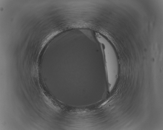 X0000077290626200611031551