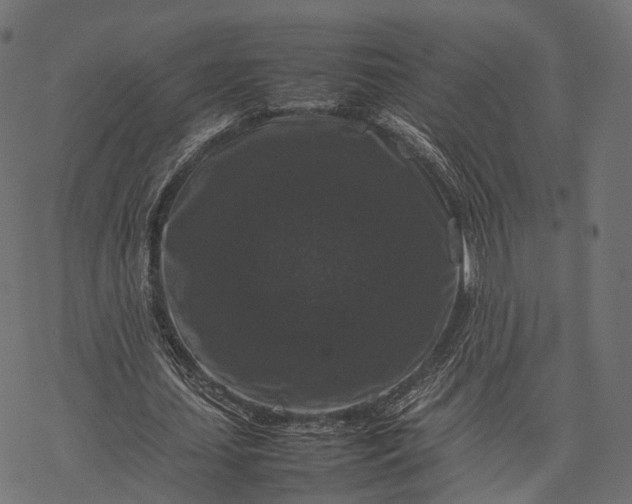 X0000077290627200611031551