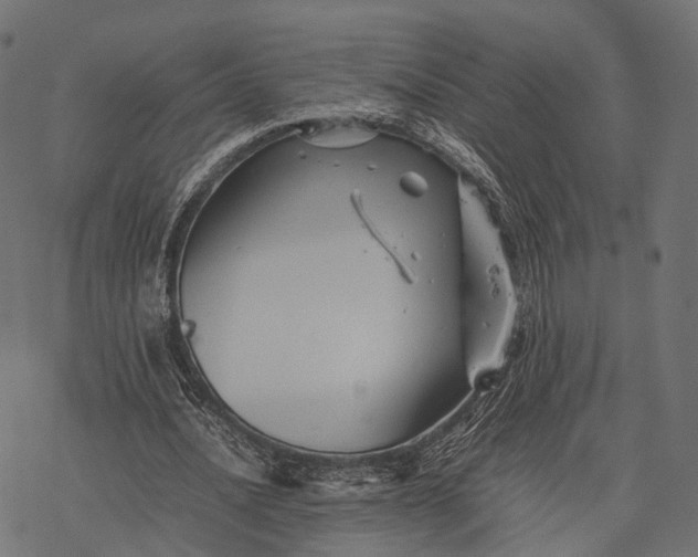 X0000077290628200611031551