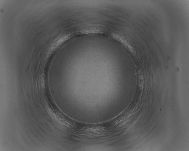 X0000077290631200611031551