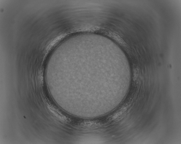 X0000077290632200611031551