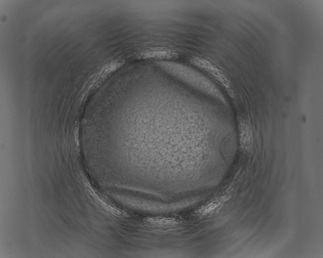 X0000077290633200611031551