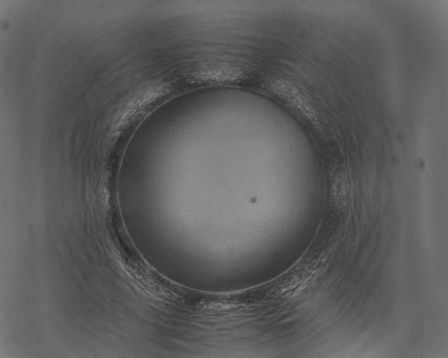 X0000077290635200611031551