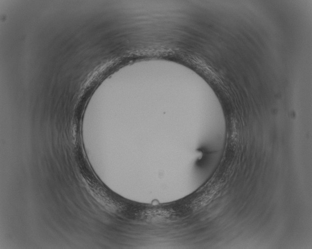 X0000077290636200611031551