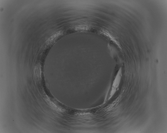 X0000077290637200611031551