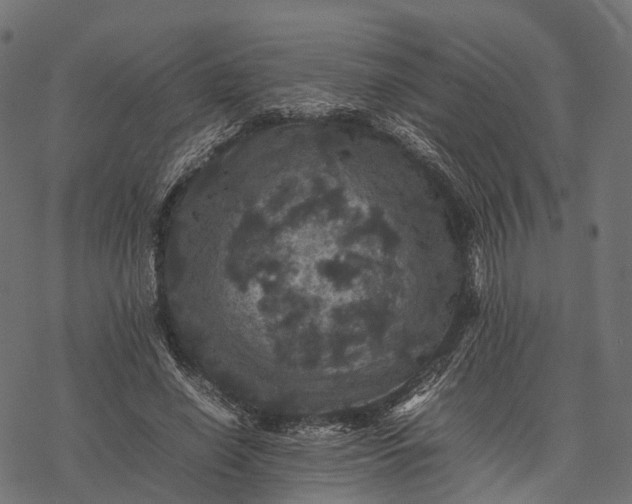 X0000077290638200611031551