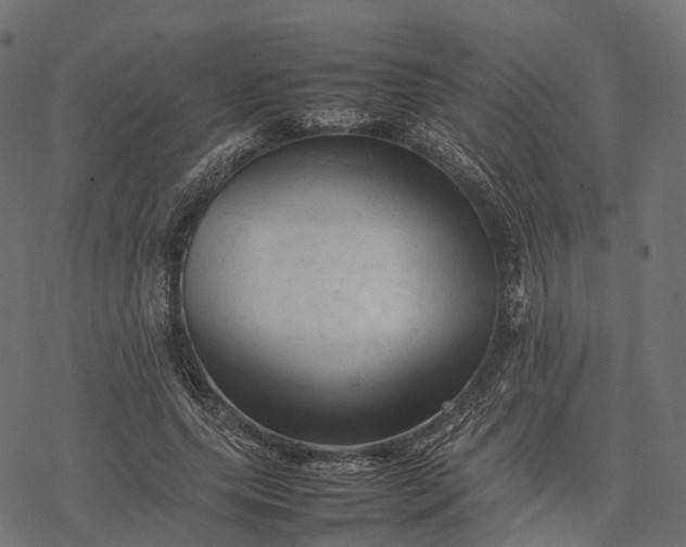 X0000077290639200611031551