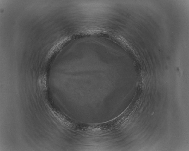 X0000077290640200611031551