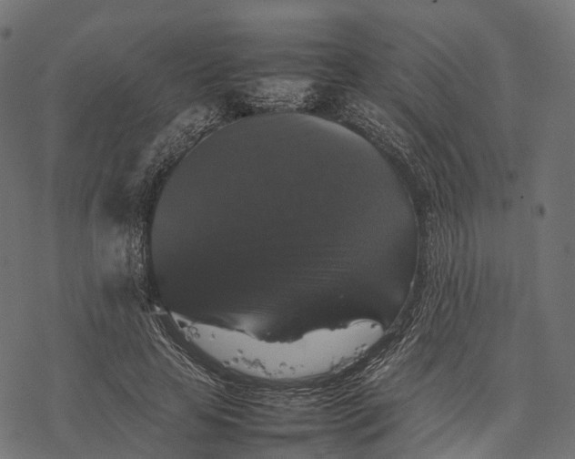 X0000077290641200611031551